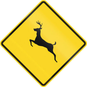 Deer sign to prevent hitting a deer